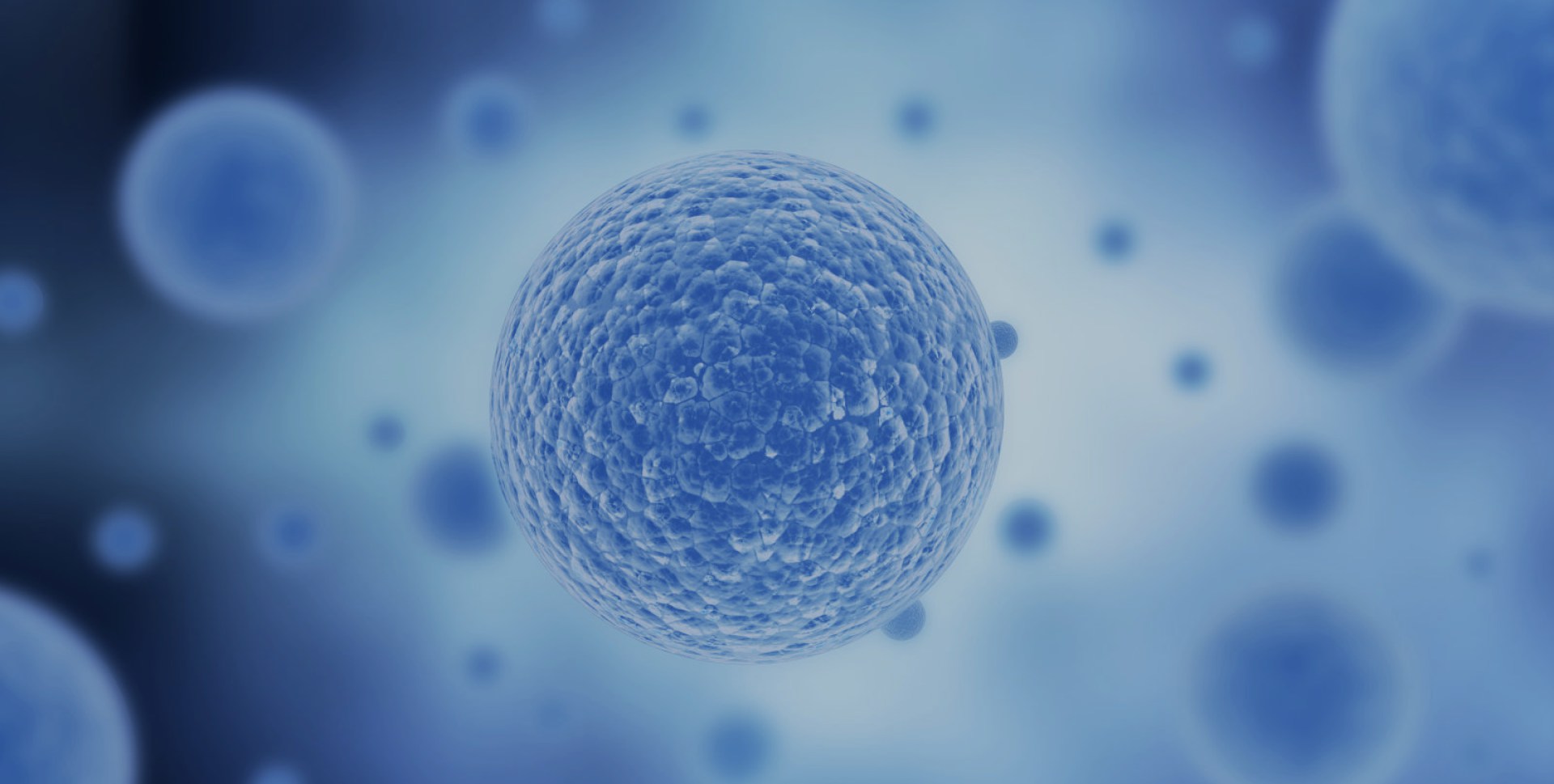 bc贷官方网站入口